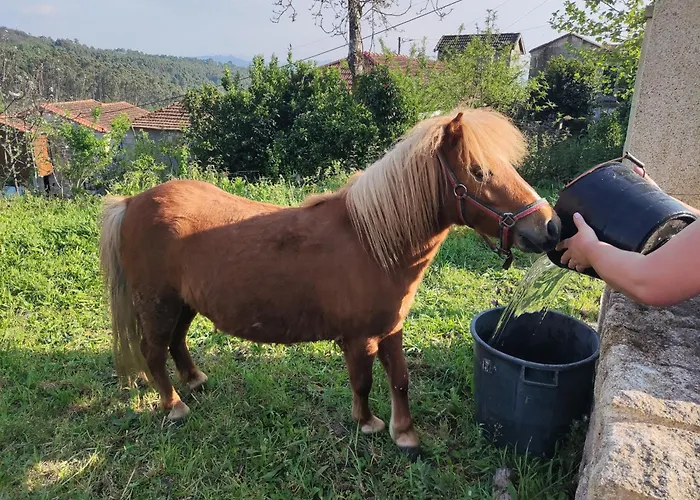 Casa Calcada بيت للعطل *